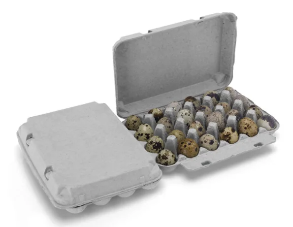 Eco-friendly pigeon quail egg cartons 30 cell recyclable paper eggs box biodegradable paper 30 hole  pulp egg carton