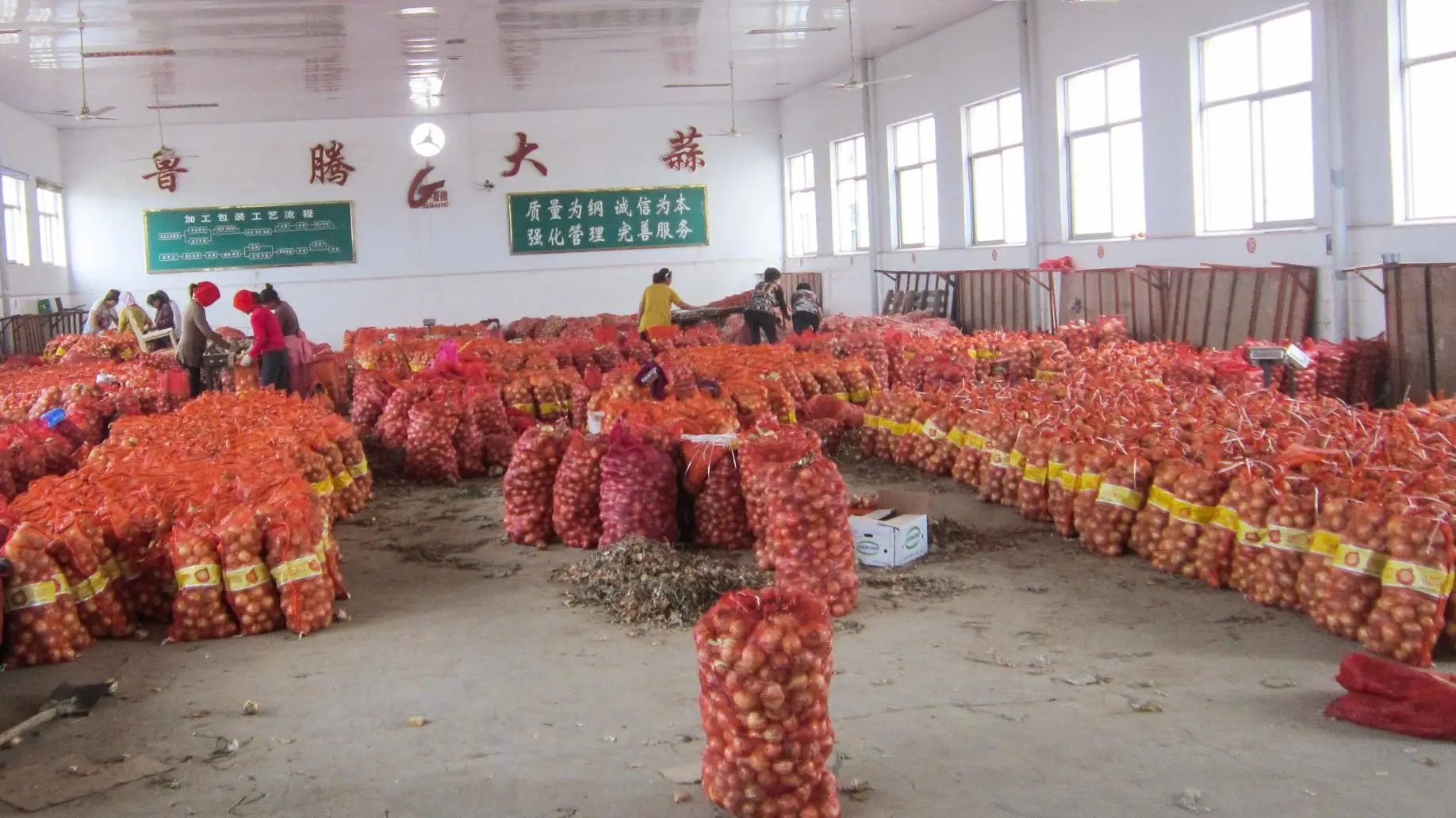 Fresh onions 2023 crop yellow onion and red onion supply from China Gansu origin with best quality