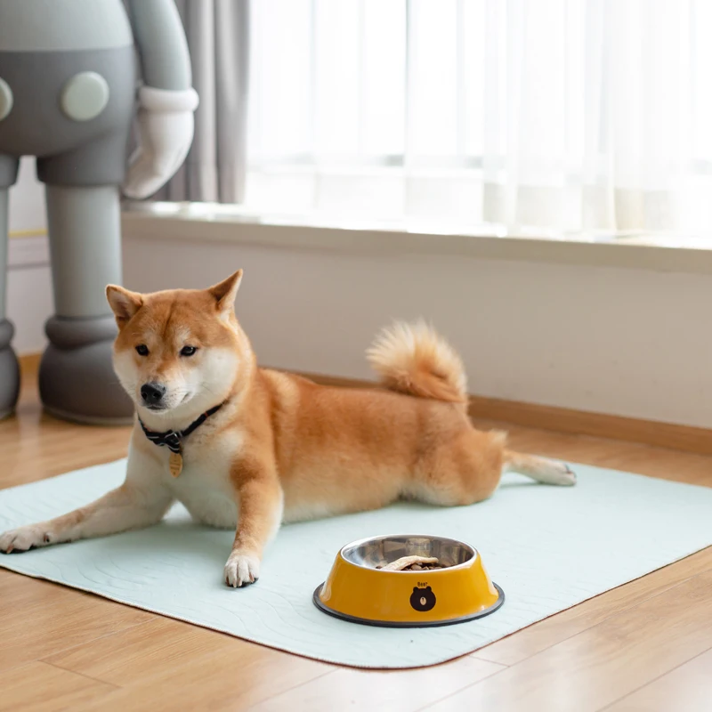 2021 Лидер продаж моющиеся подушечки для