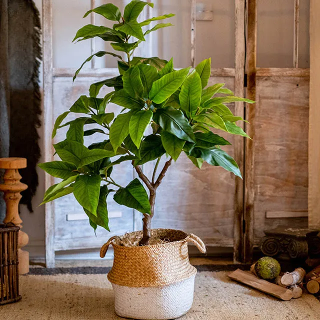 living room indoor floor decoration tree window decoration Large simulation green laurel tree  potted