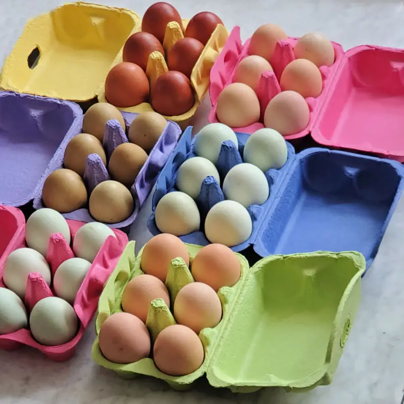 Pulp egg carton quail egg with lid Biodegradable recyclable 60 cells 120 cells can be customized PLA Plant Base Corn Starch