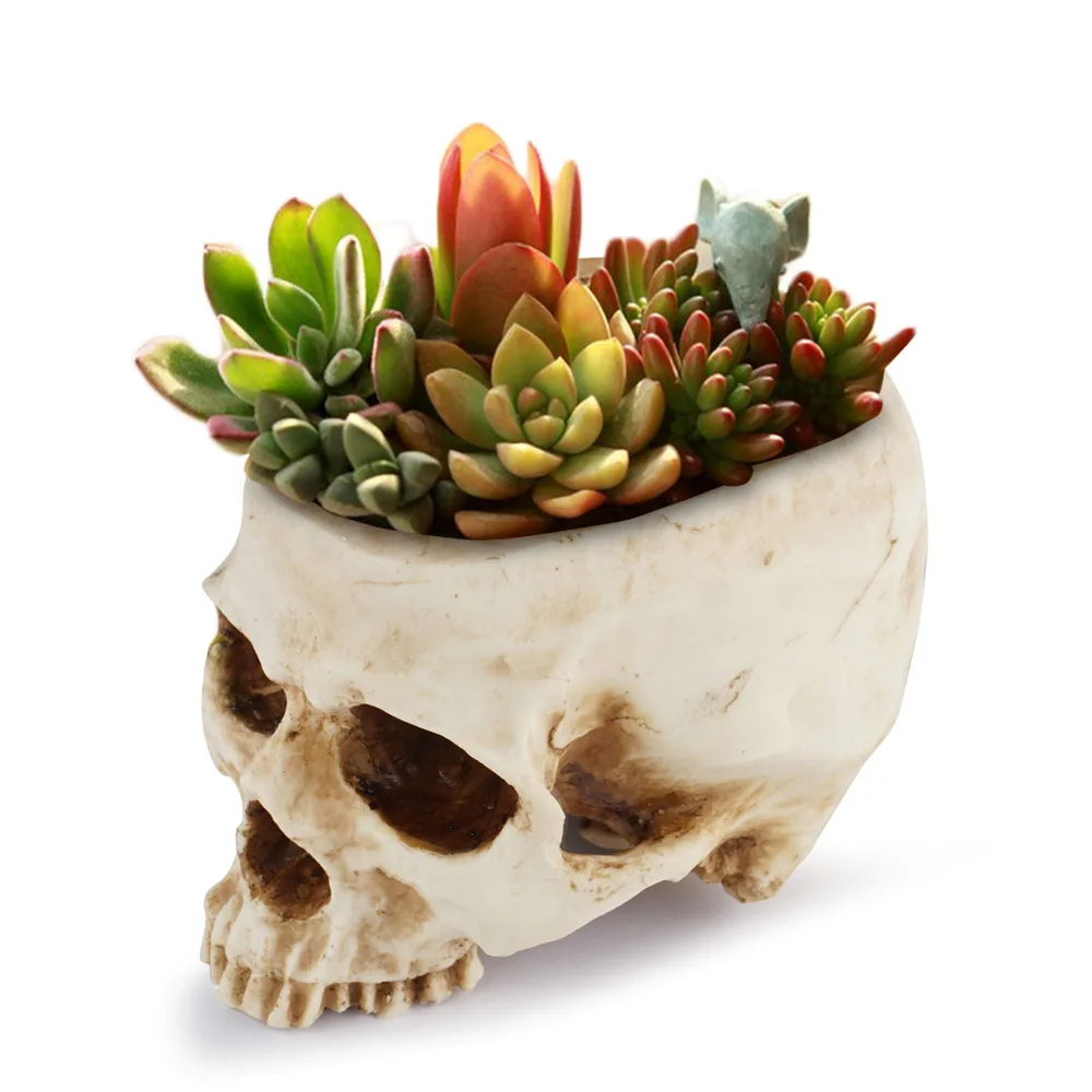 Amazon Top Cool Gift For Friends High Strength Resin Flower Pot Skull Shaped for Home Office Desk Decorations Flower Planters