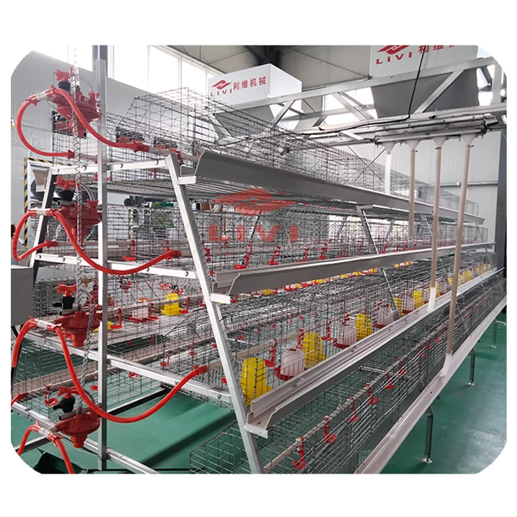 Automatic Poultry Farm Day Old Chicken Cage battery Baby Chick Brooder Cage