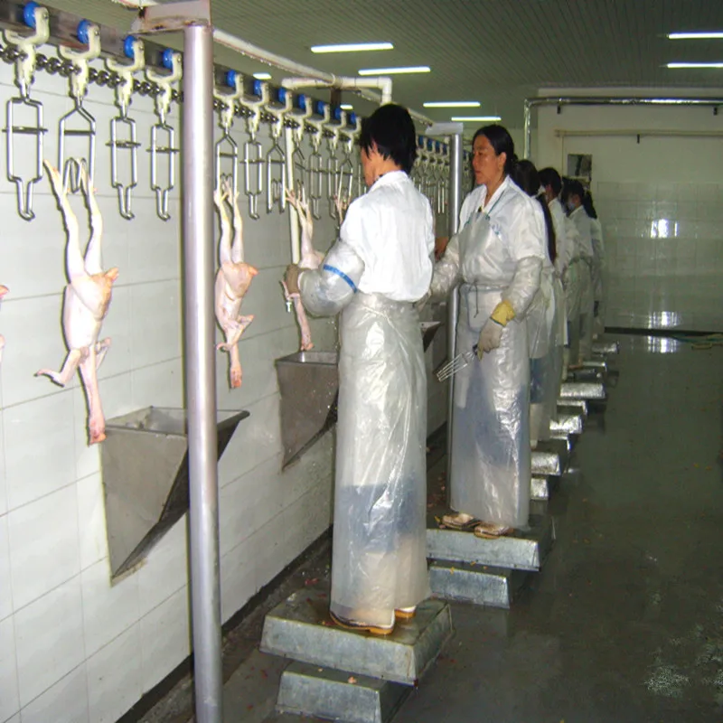 500BPH to 10000BPH Halal Poultry Automatic Chicken Slaughtering Machine For Sale