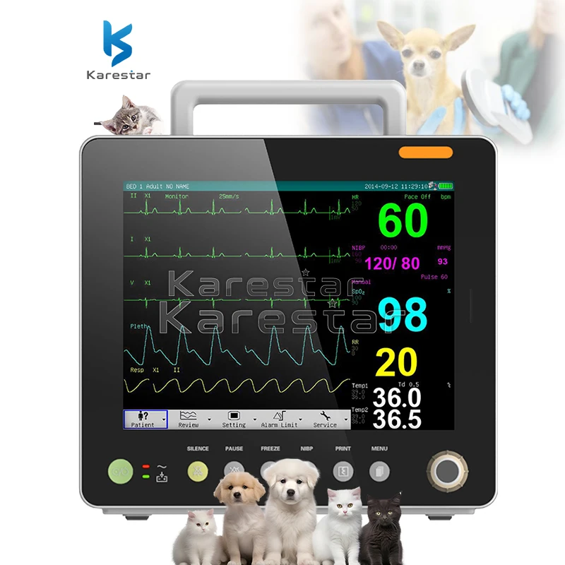 12.1 Inch Remote Patient Monitoring Machine Vital Signs Vet Patient Monitor Portable