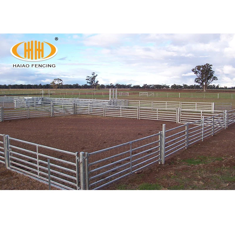Best quality steel pipe galvanized sheep & goat rail fence panels, sheep feedlot for sale