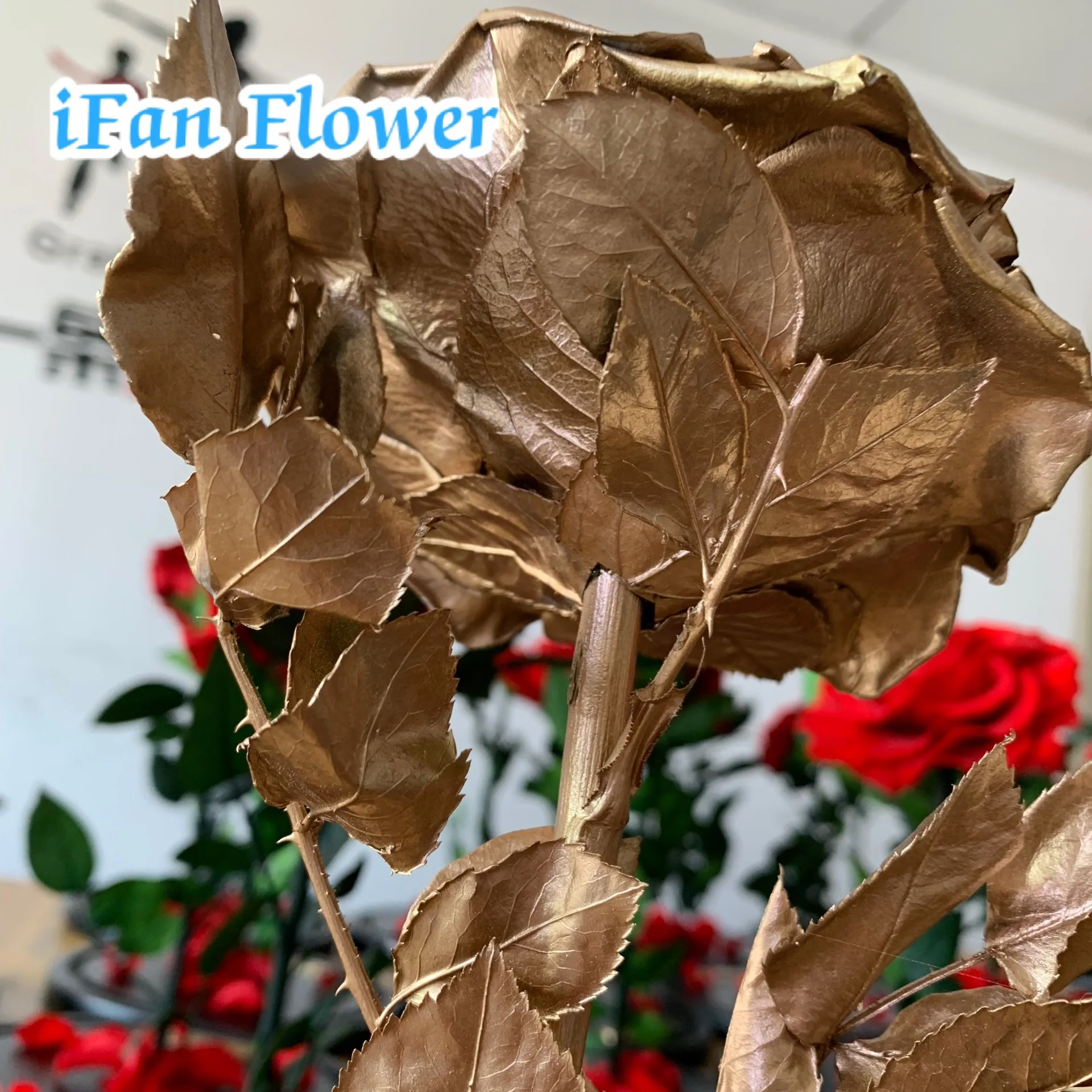 Beautiful UNITED ARAB EMIRATES flag real preserved roses eternal rose wholesale