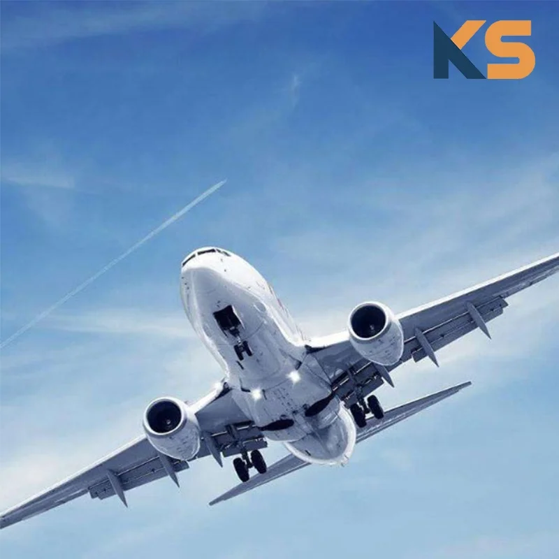 Professional Agent Direct Shipment Aviation DHL UPS FedEx EMS Express Air Shipping Agent From China To USA US Canada UK Germany