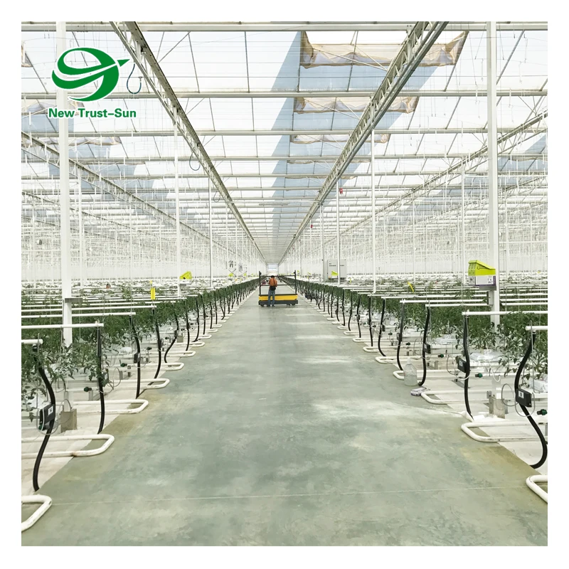 Polycarbonate sheet Green house tomato hydroponics growing greenhouse for agricultural