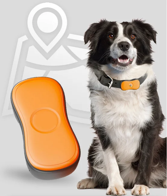 Anti Lost Wireless Gps Mini Light Weight Locator Tracking Silicone Airtag Cat Dog Air Tag app dog gps tracker