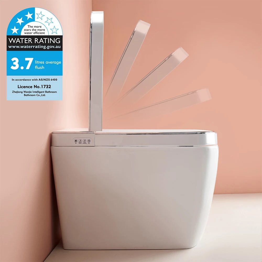 Contemporary design bathroom toilet bidet water