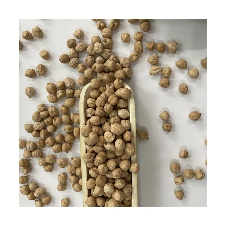 Оптовая продажа, новый урожай, высококачественный нут Kabuli