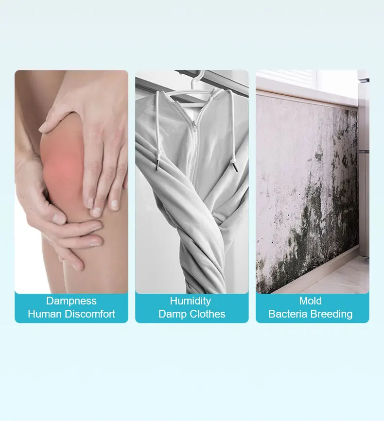 hanging moisture absorber2