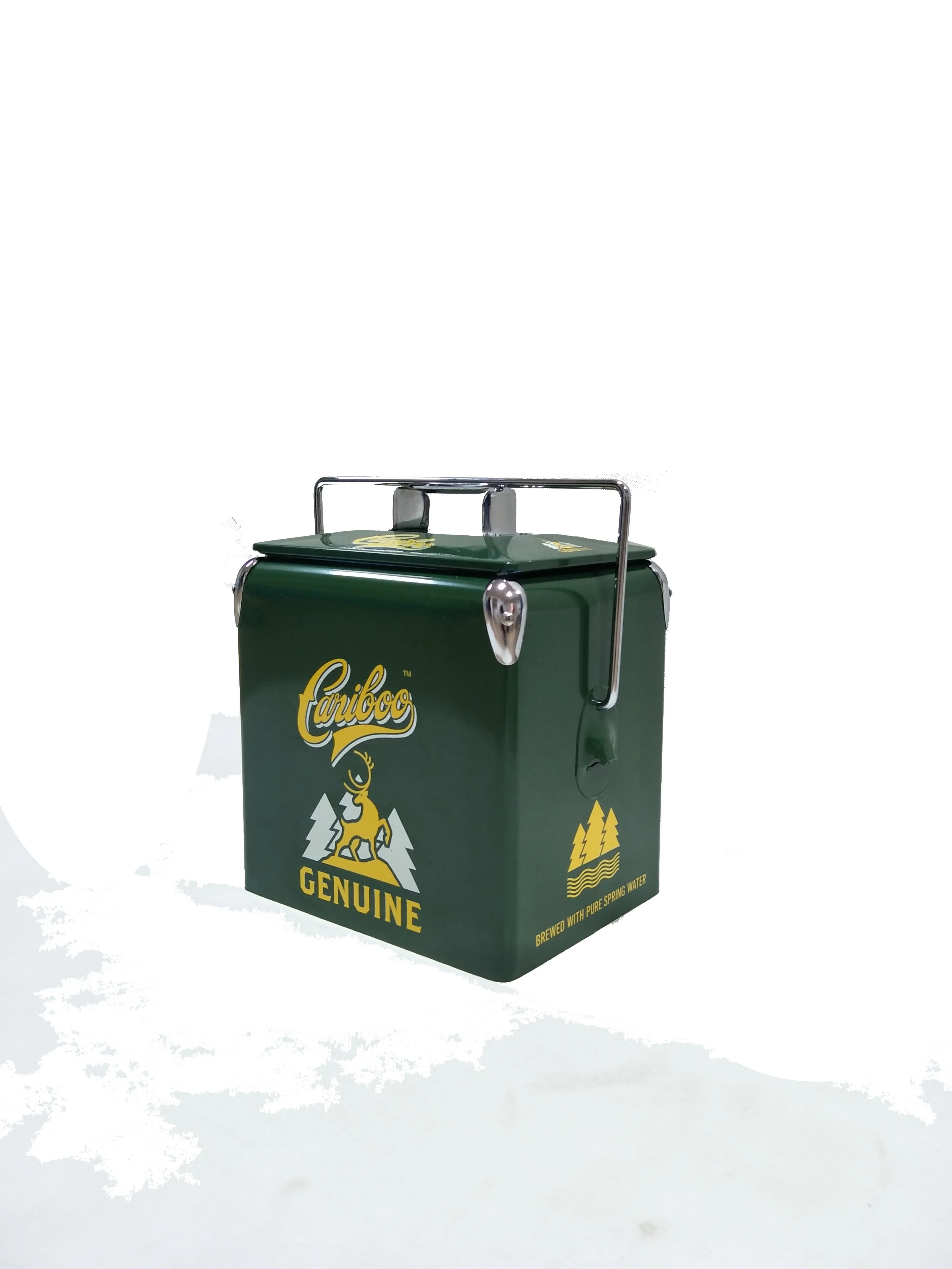 New collection 13L portable insulated mini beer cooler box