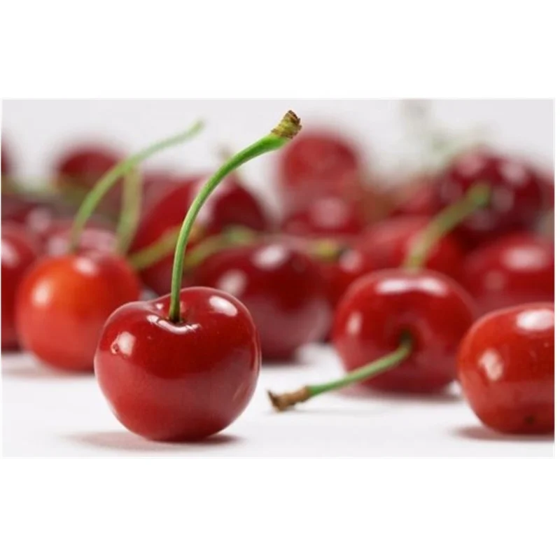 Bulk Package Pitted Product Exported Frozen Fruit IQF Sour Cherry