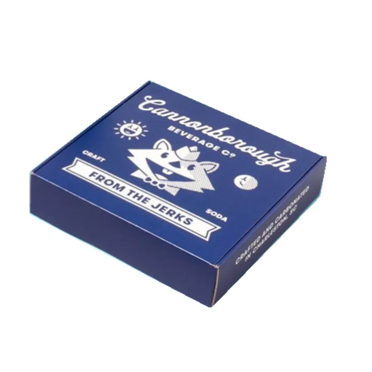 Wholesale Custom Logo Designed Paper Box Package Packaging Corrugated Mailer Cosmetic Applicators Shipping Boxes Cartons