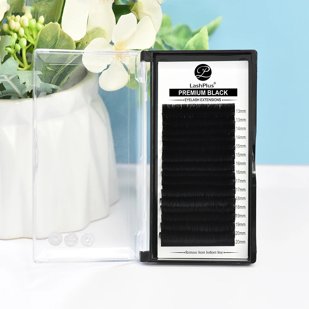 LashPlus korea PBT fibers de cilios pesta as pelo a pelo 0.15mm 3d nature extension lash supplies