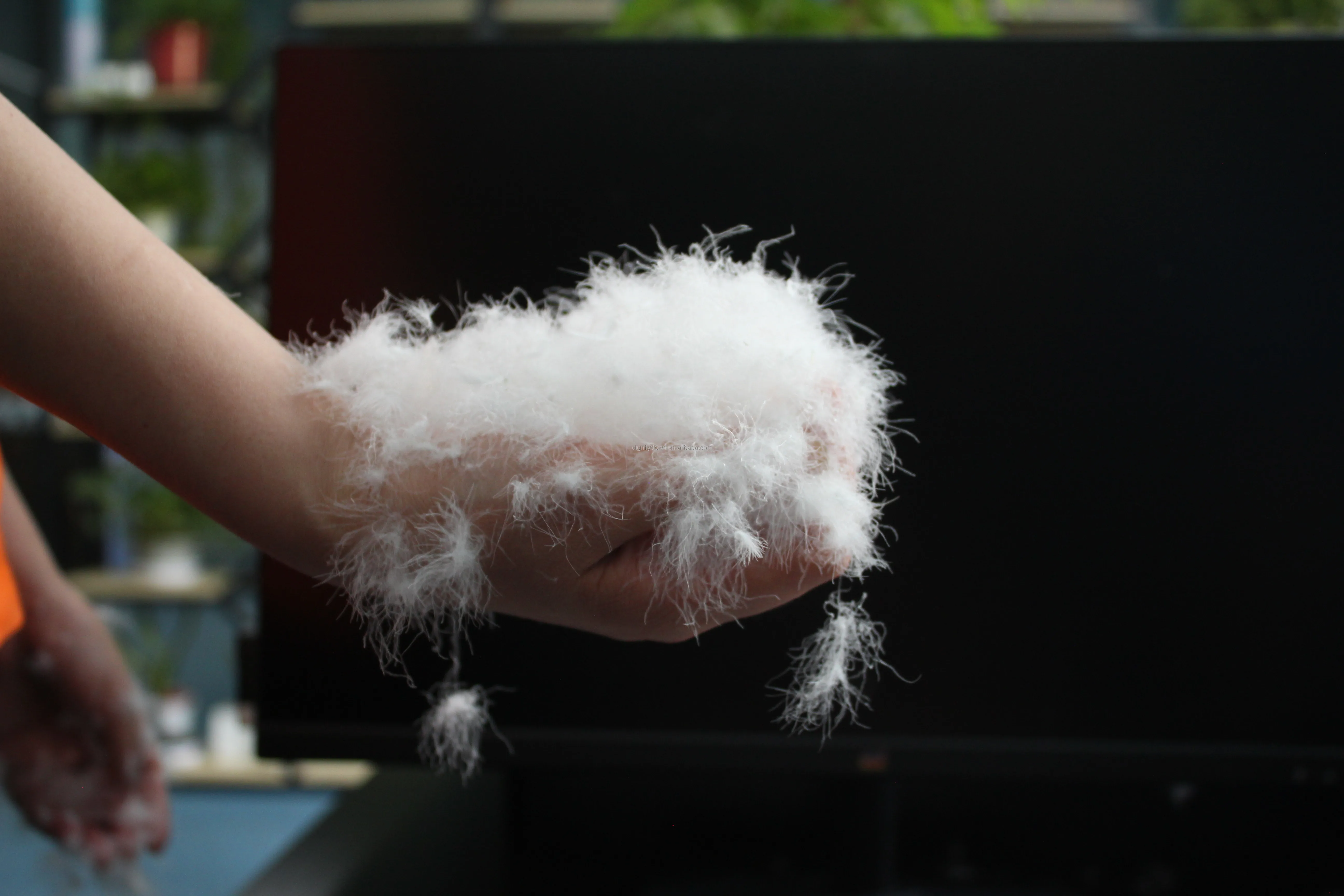 Wholesale Good Price High Filling Power White Goose Down  Pillow inserts Feather Down Washed Goose Down