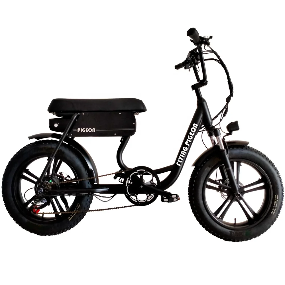 Factory горячий продавать 20 дюймов 48V 750W Электрический городской велосипед (FP-EB2201)