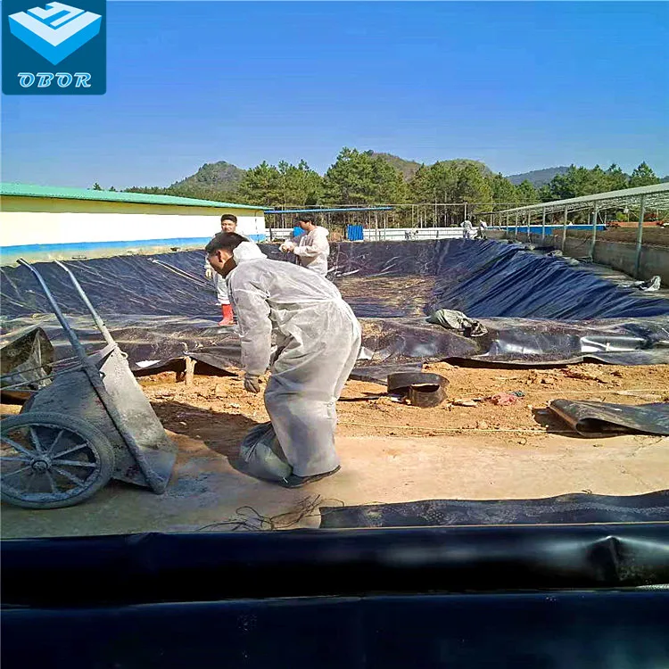 OBOR HDPE Geomembrane Plastic Pond Liner 0.3mm 0.5mm 0.7mm in Philippines