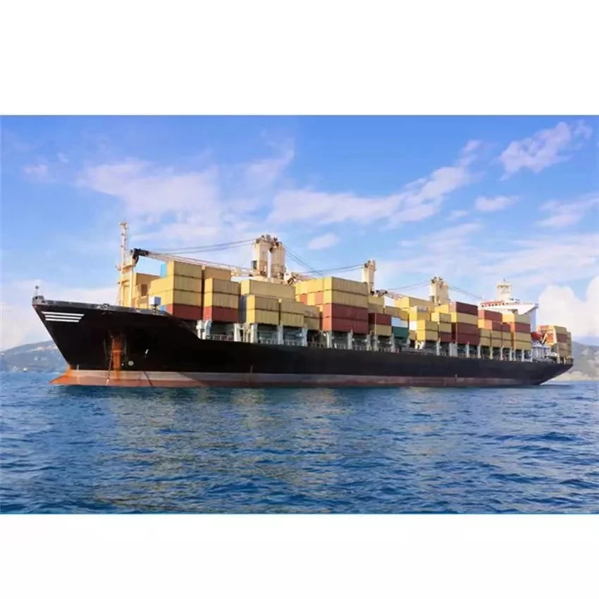 DDP Door to Door Sea Shipping from China to USA Professional Sea Freight Forwarder USA CANADA FBA
