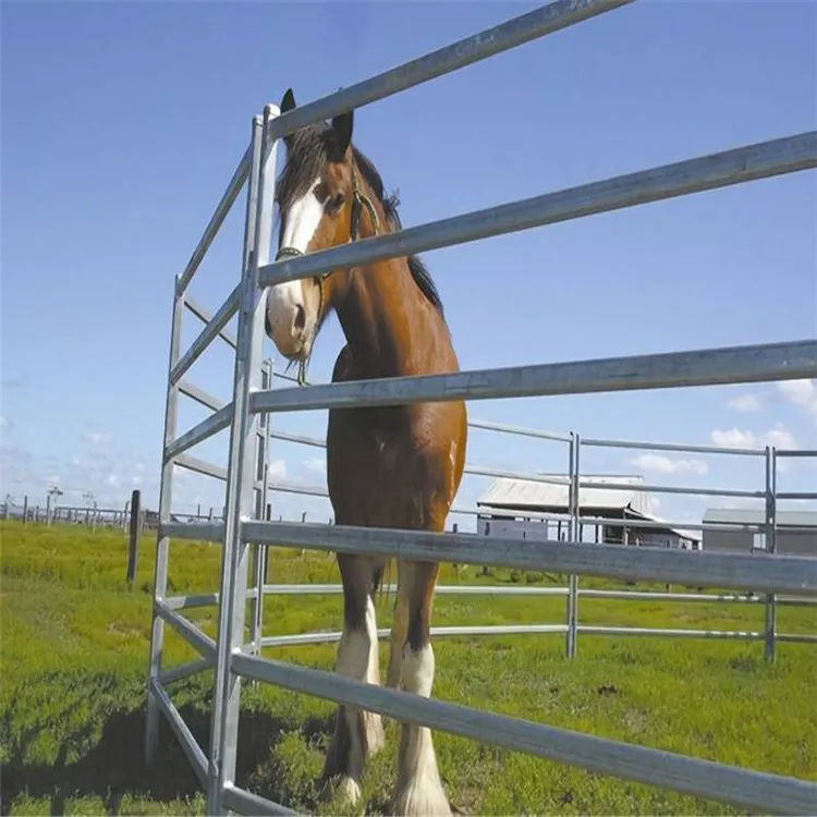 Portable Galvanized Cattle Yard Horse Fence Panel Livestock Panels