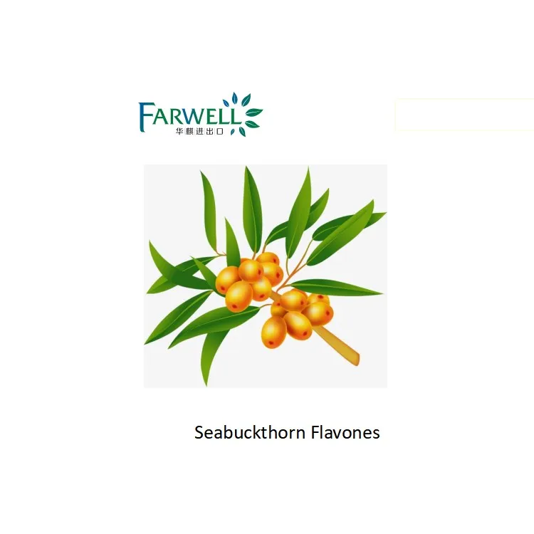 
Farwell Seabuckthorn Flavones CAS 36431-72-8 