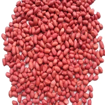 
Raw Peanut Ground Nut 