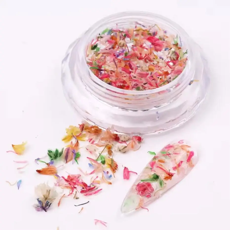 3D Colorful Dried Flower Petal Nails Art Decoration Mixed Color Natural Dry Flower Nail Charms
