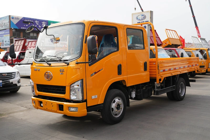 China brand FAW Diesel cargo truck 4x2 double cabin