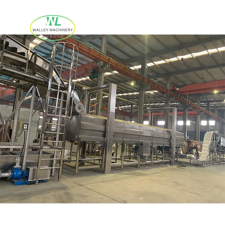Hotsell Full Automatic Prune Raisin Washing and Drying Machine Plum Process Line Dried Mulberry Moisture Increasing Polishing