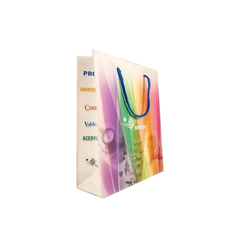 
Hot Sale Colourful Fashion Shopping Gift Paper Packing Bag 