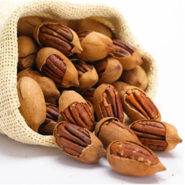 2022 Pecan Nuts Kernel Raw pecan nuts with shell Chinese Organic healthy organic Pecan nuts