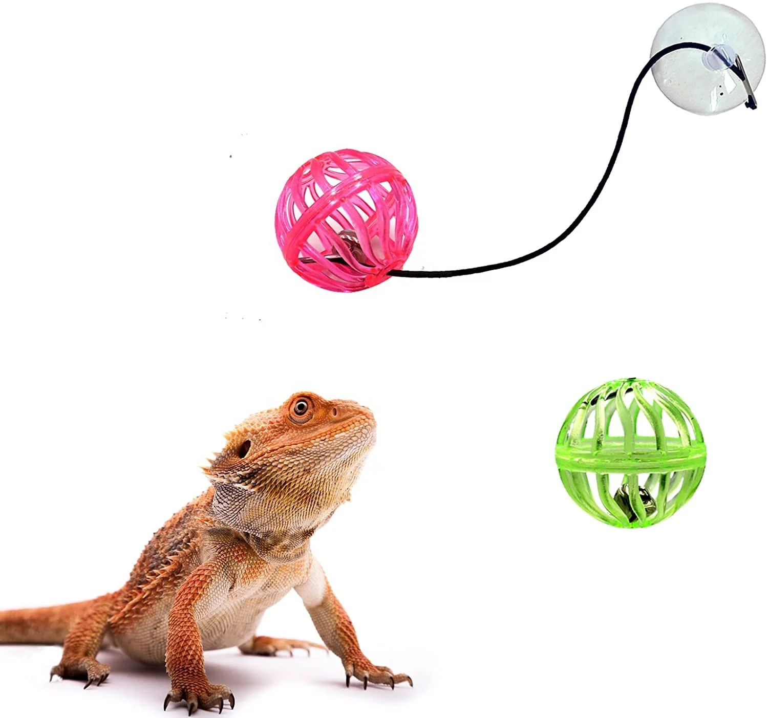 Reptile Lizard Toy Ball Bearded Dragon Lizard Gecko Small Pet Animals pet chew toys With Suction Cup and Rope