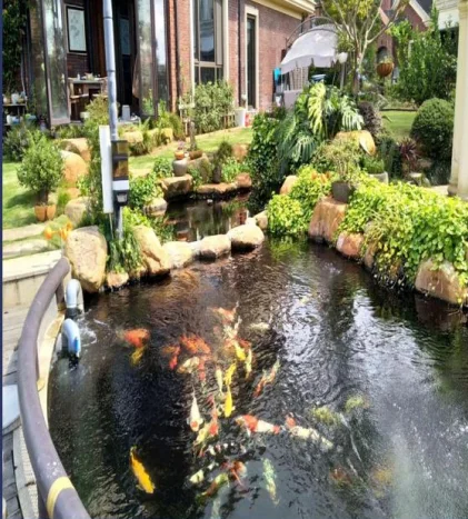 Новый тип рыбоводства Спирулина барабанный фильтр для Kolam Koi