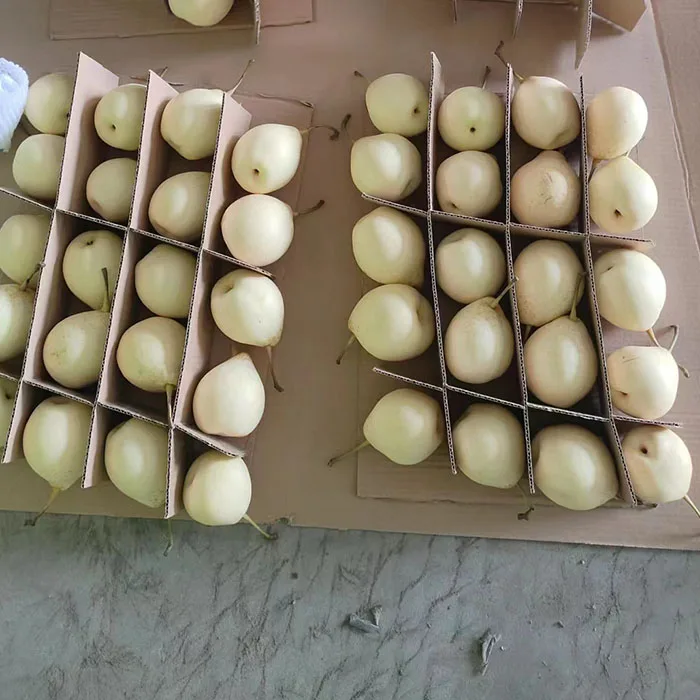 Китай свежие груши я/золотые груши
