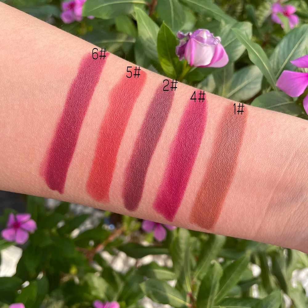 OEM Soft Matte Lipstick Long Lasting Lip Stain High Pigmented Lipstick