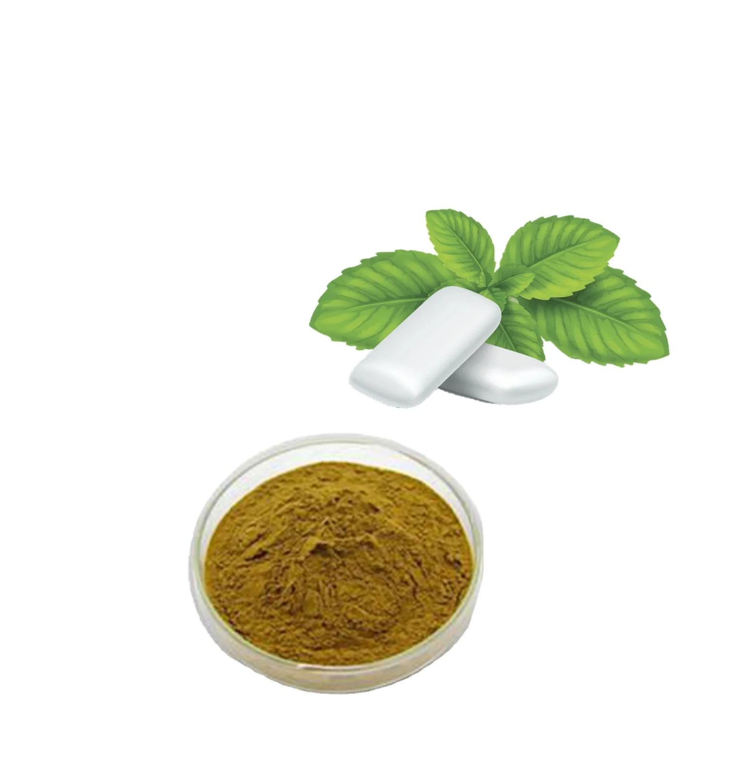 Wholesale Traditional Chinese Medicinal Plant Extract Mentha Leave/ Mint Extract Peppermint Powder