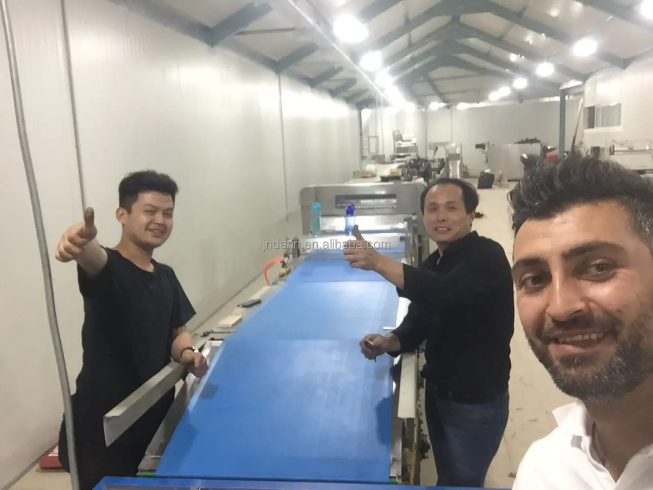 China hot sale Automatic Animal Dry Pet Dog Treats Food Pallet Making Machinery Fish Feed Food Processing Extruder Machine