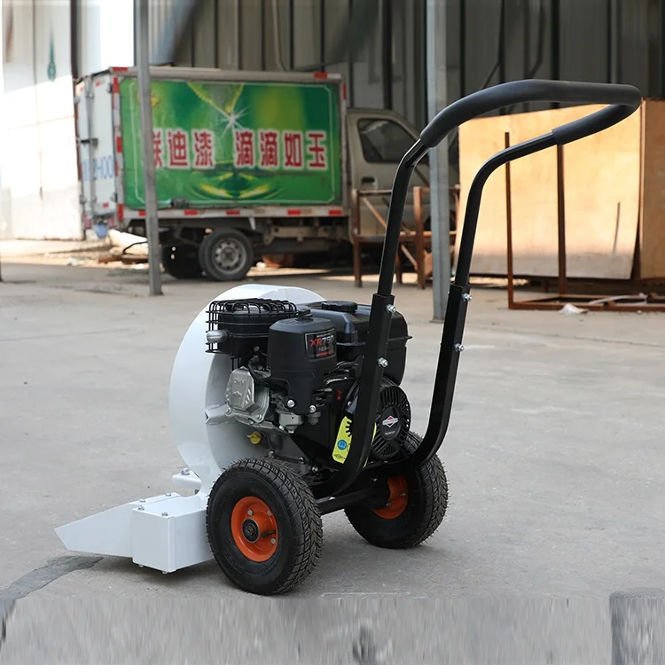 Petrol Road Blower