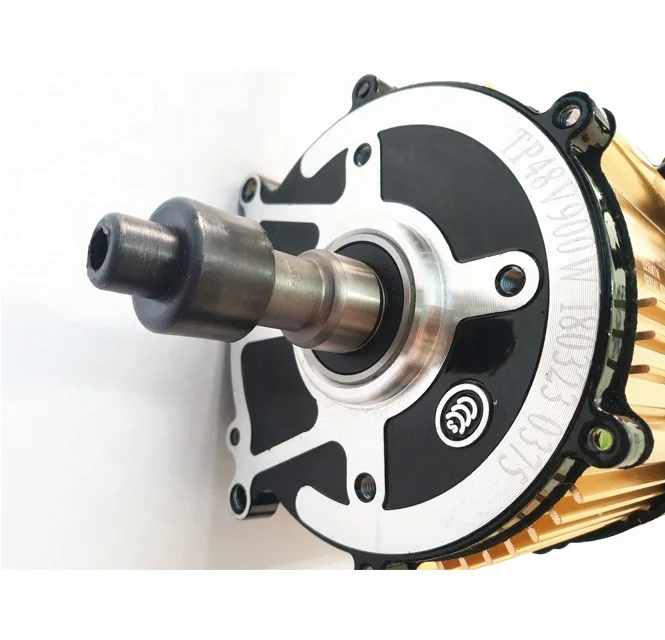 Toppower High Quality Three Wheel Electric Tricycle 48V 800W Brushless DC Motor For Adults