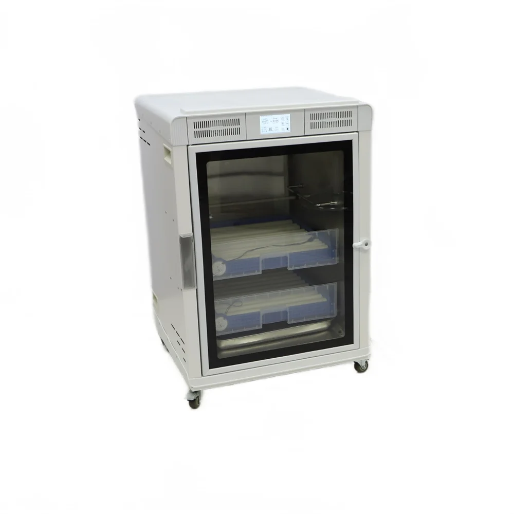 Digital Chicken Egg Incubator Hatcher Mini Incubator for Birds or Mound-builders Buy Chick Egg Incubator China