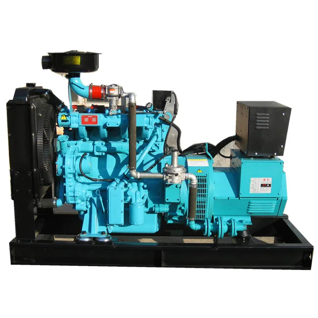 China 20kw 27.2kva Biogas Natural Gas LPG Generator Methane Generatorfor sale