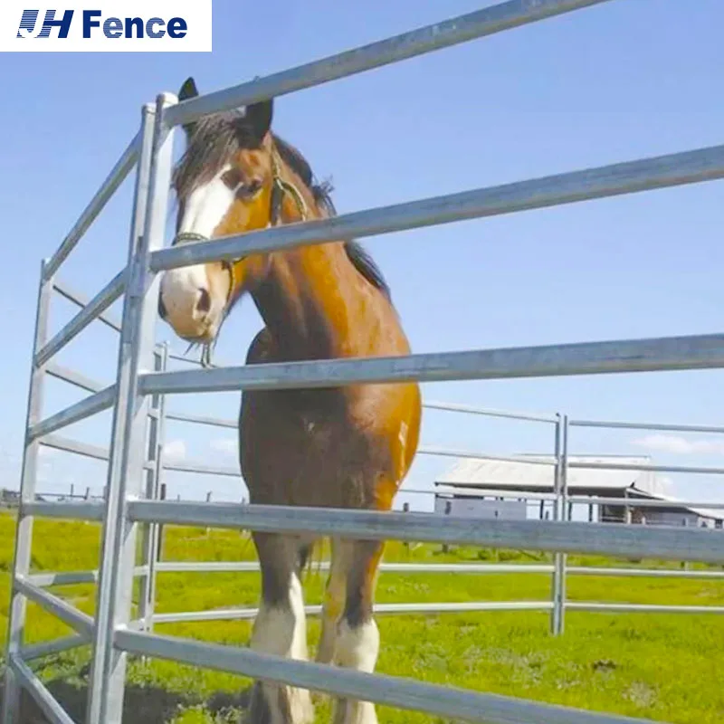 High quality cheap heavy cattle panel 16ft usa cattle panel powder coated cattle panels
