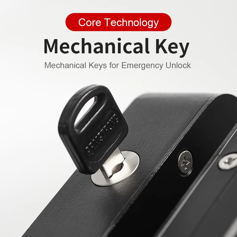 Safety Rim Keyless Wifi Biometric Fingerprint Face Recognition Office Electric Motorized Door Lock