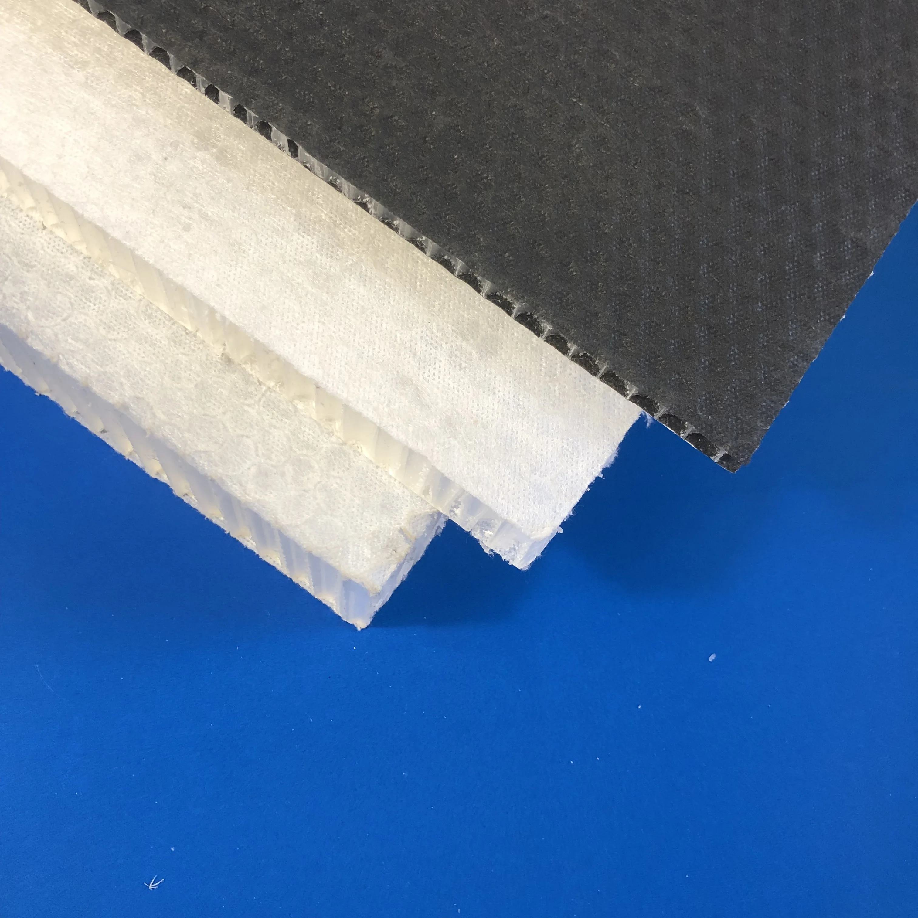 China waterproof polypropylene/pp/plastic honeycomb panel for wholesale