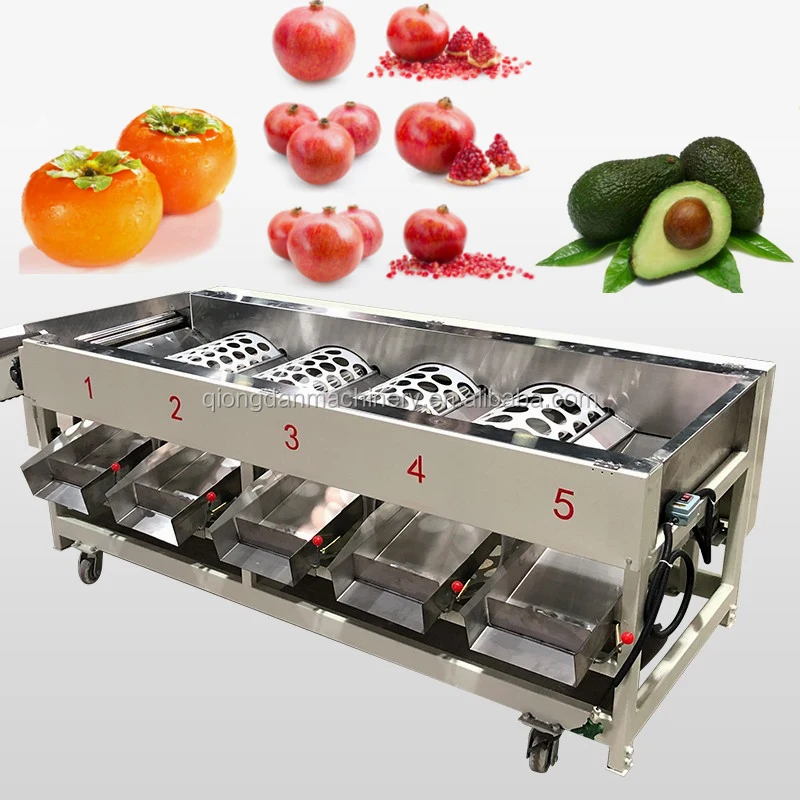 Vegetable/fruit sorting machine Passion fruit Cherry pear pomegranate persimmon litchi Strawberry blueberry grading machine