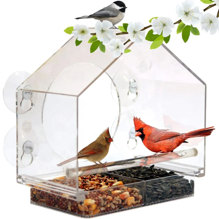 Acrylic Transparent humming hanging bird feeder with with Super Strong Suction Cups