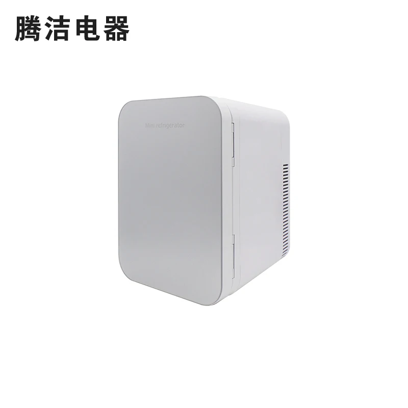 10L Home Use Electric Skincare Fridge For Cosmetic Portable Ac 100V-220V Dc 12V Mini Cosmetic Refrigerator With Mirror LED Light