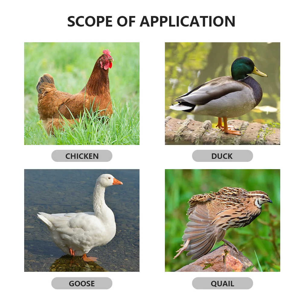 intelligent dual-electric type full automatic computer control incubator XM-18D